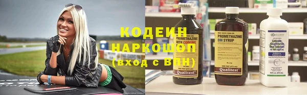 эйфоретик Вяземский