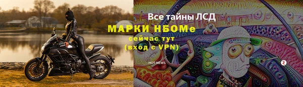эйфоретик Вяземский