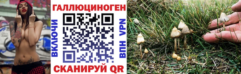 Галлюциногенные грибы Psilocybe Рыбинск